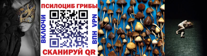 Псилоцибиновые грибы Cubensis Беломорск